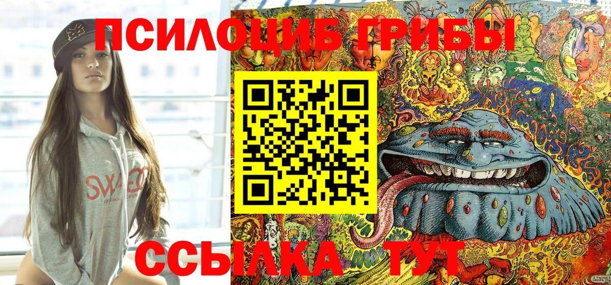 Ачхой-Мартан  Псилоцибиновые грибы Psilocybine cubensis  Вход с VPN 